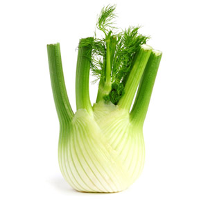 Fennel