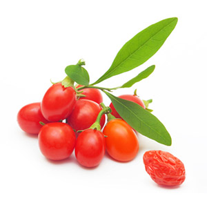 Extracto de fruta de baya de Goji _(Lycium barbarum)_