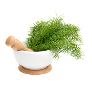 Horsetail herb powder