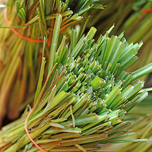 Lemongrass – USDA Certified Organic