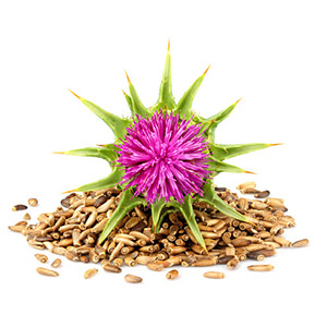 Milk Thistle