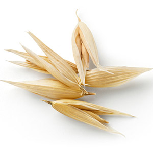 Organic oat straw herb