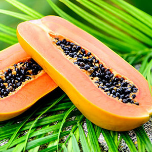 Papaya Fruit Extract (Papaya)