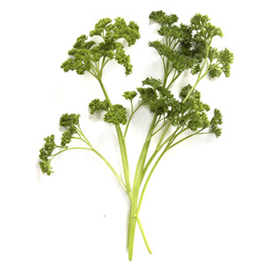 Parsley